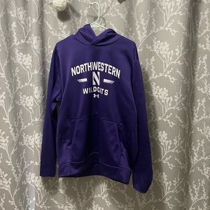 Northwestern wildcats hoodie